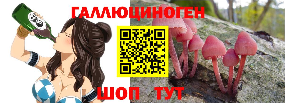 Галлюциногенные грибы Psilocybe  сколько стоит  Валуйки  Вход с VPN 