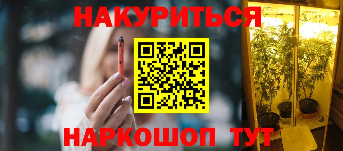 Марихуана сатива Валуйки